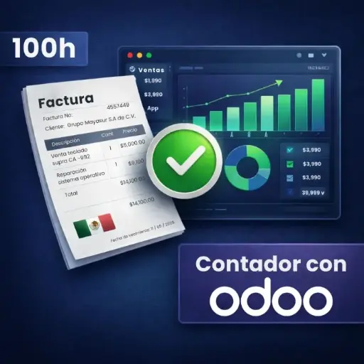 [ODOOFIN100] Plan Fin Pro - Paquete de 100 horas de soporte de un contador con experiencia en Odoo